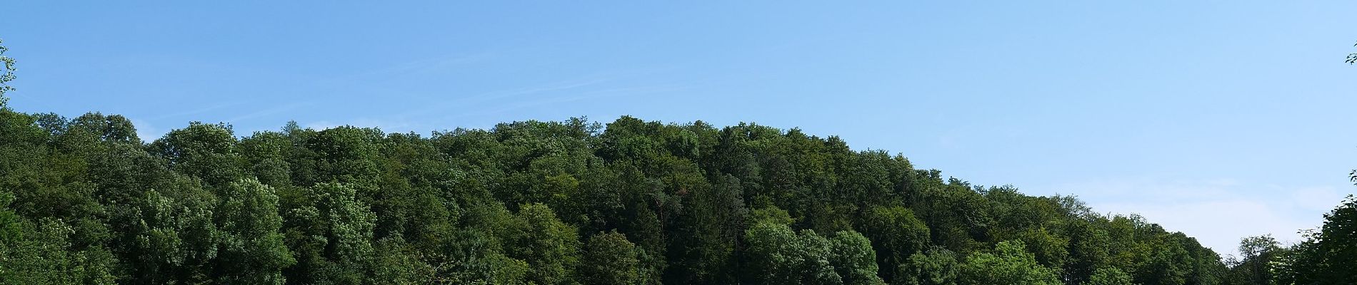 Tour Zu Fuß Glattfelden - Zweidlen Station - Station Glattfelden - Photo