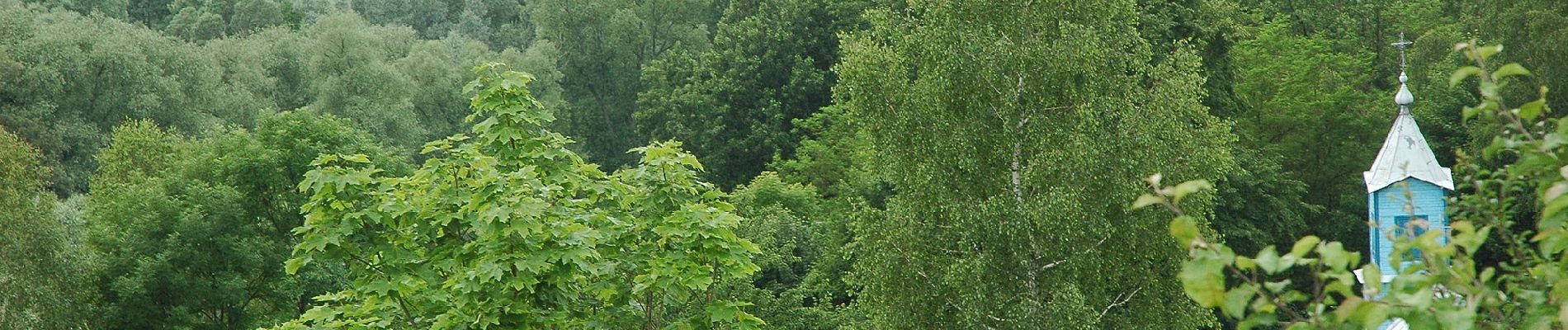 Percorso A piedi Anusin - Szlak Bunkrów - Photo