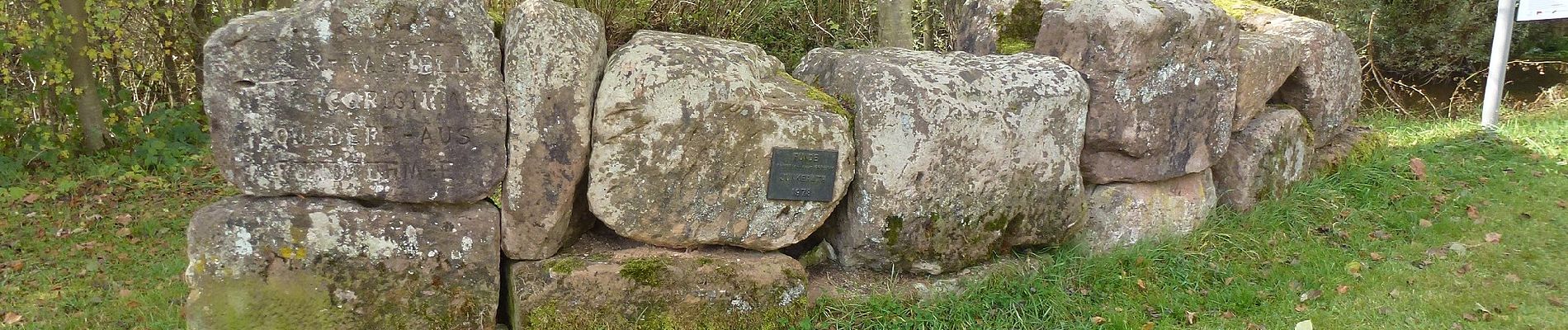 Randonnée A pied Jünkerath - Bisselbachtal - Photo