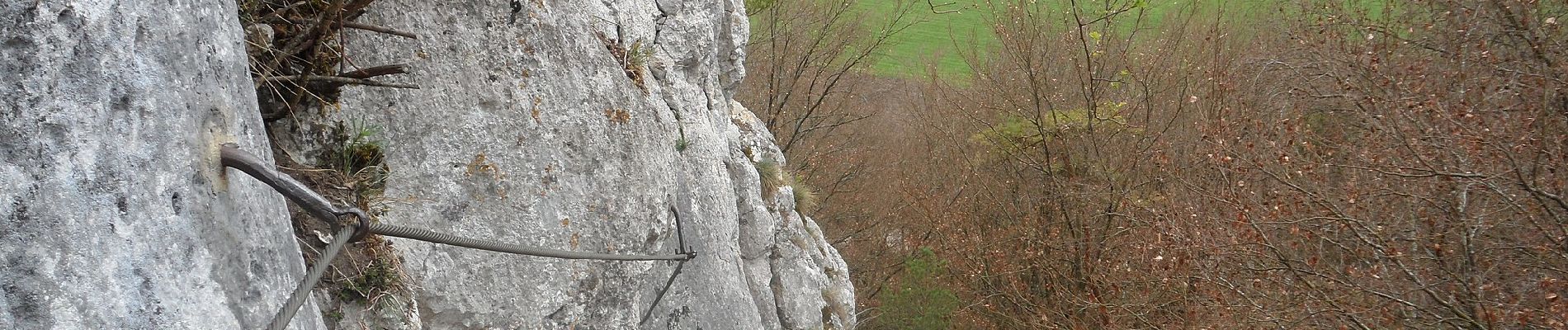 Excursión A pie Wellheim - Rundwanderweg Wellheim 4 - Photo