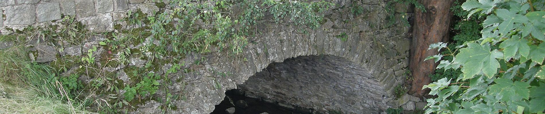 Tour Zu Fuß Český Rudolec - Graselova stezka (G) - Český Rudolec - Photo