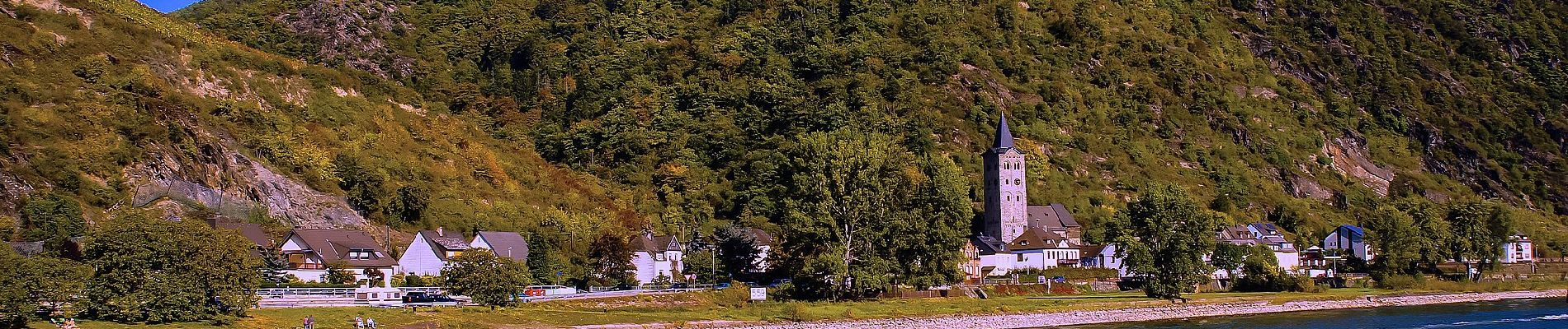 Percorso A piedi Sankt Goarshausen - Rheinsteig-Zuweg Nochem - Photo