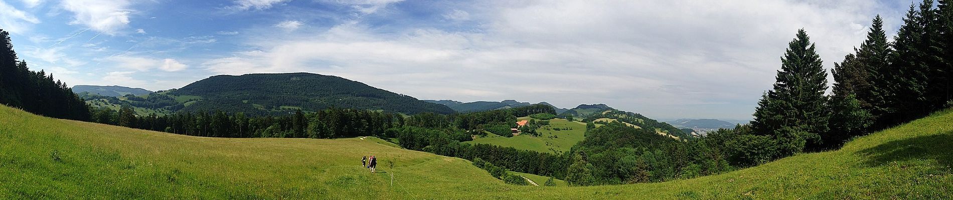 Randonnée A pied Oberbuchsiten - Tiefmatt - Roggenflue - Photo