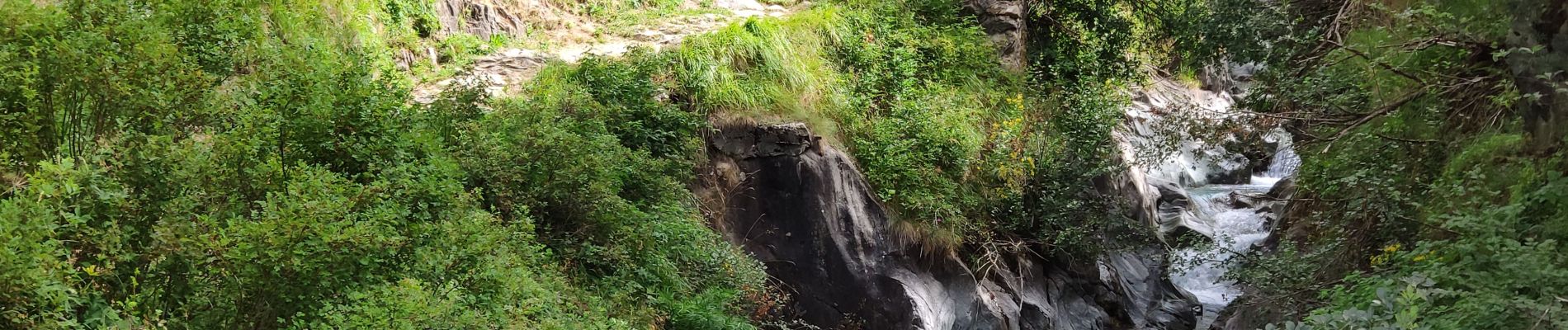 Tour Wandern Saint-Christophe-en-Oisans - Oisans 2019 : Vallon et glacier de Selle - Photo