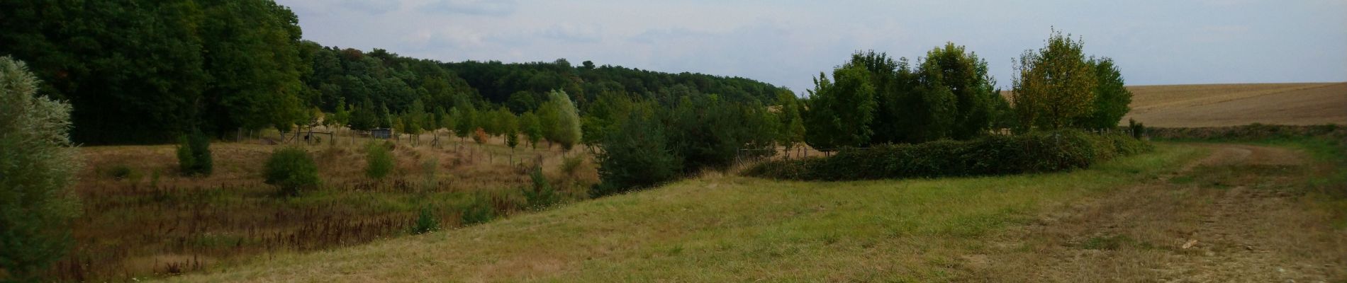 Tour Wandern Bléré - Bléré - Fonds de Bout Ferré - 14.2km 145m 3h30 - 2022 08 15 - Photo