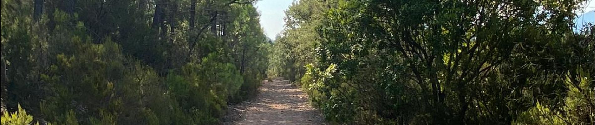 Trail Walking Roquebrune-sur-Argens - z la Guitranière-la Bouverie 15-09-20 - Photo