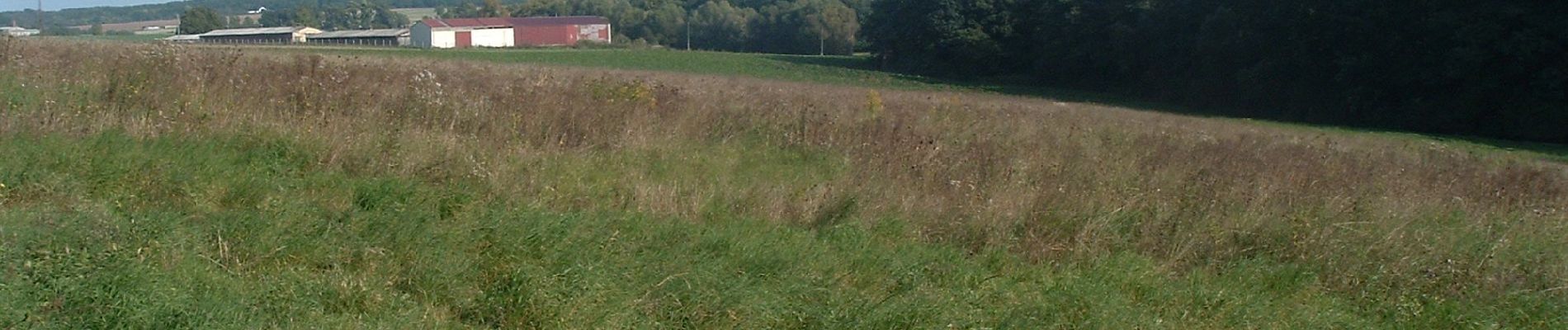 Tocht Te voet Harbke - Lappwald Rundwanderweg 27 - Photo