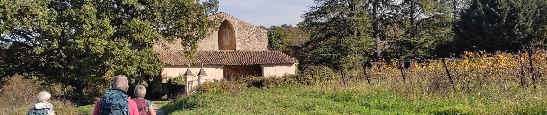 Trail Walking Bonnieux - Bonnieux ➡️ Lacoste  - Photo