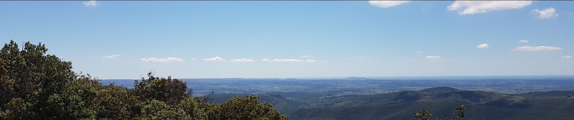 Tocht Noords wandelen Clermont-l'Hérault - Salagou Mont Liausson - Photo