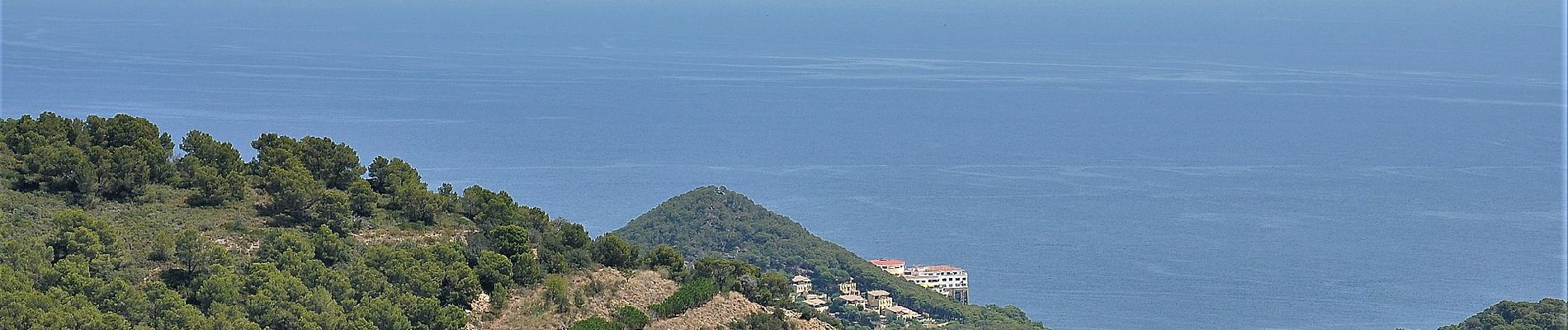 Tour Zu Fuß Begur - SL-C 23 reserva marina de Ses Negres - Photo