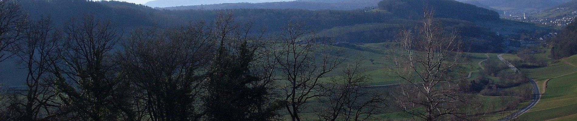 Tocht Te voet Wegenstetten - Usseri Weid - Rothenfluh - Photo