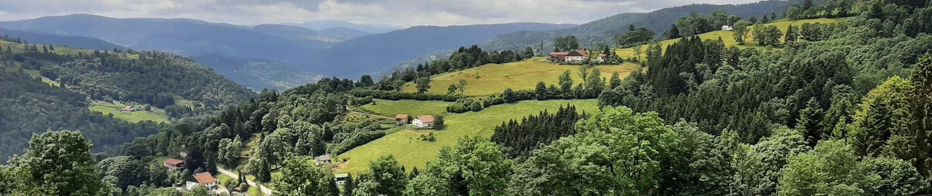 Randonnée Marche La Bresse - la bresse-bassedesfeignes-2024-07-01 - Photo