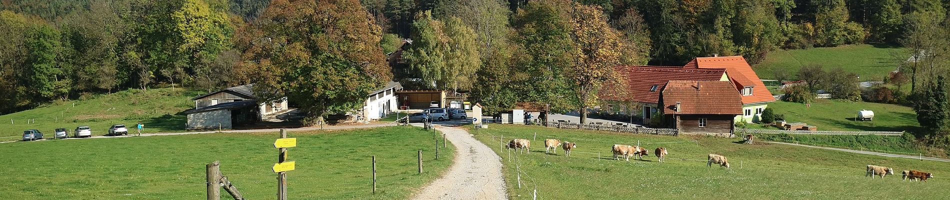 Tocht Te voet Gratkorn - Wanderweg 8 - Photo