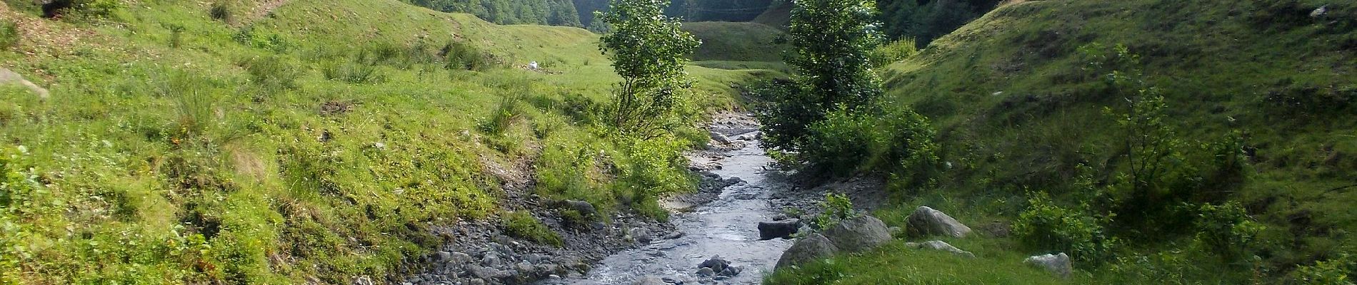 Trail On foot Unknown - Bărbătești - Valea Otăsăului - Valea Bulzului - Vârful Țucla - Curmătura Builei - Photo