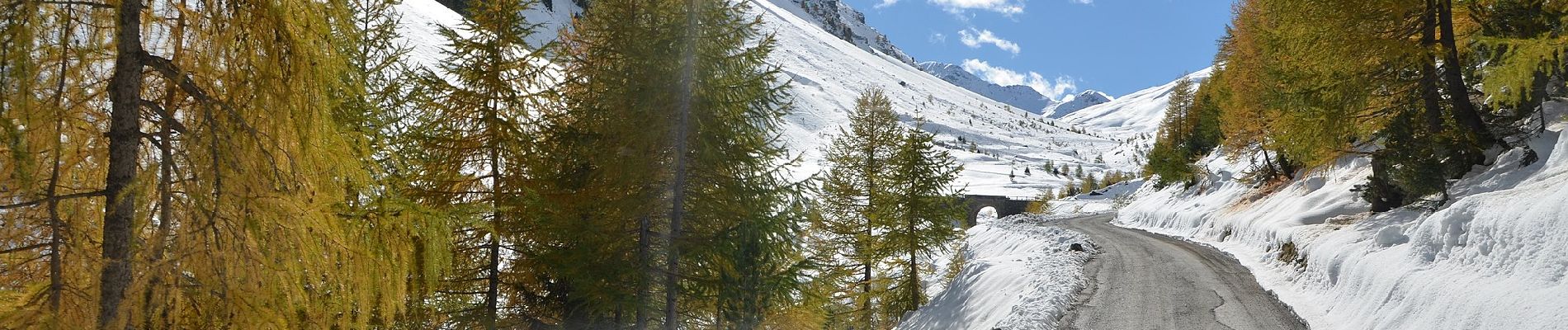 Percorso A piedi Val Müstair - Blockhaus - Alp Prasüra - Sella da Piz Cotschen - Photo