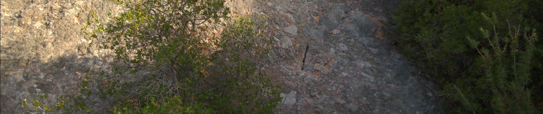 Excursión Senderismo Saint-Antonin-sur-Bayon - Voie des Moussaillons puis Arête sud intégrale de la croix depuis le parking de plan d'anchois  - Photo