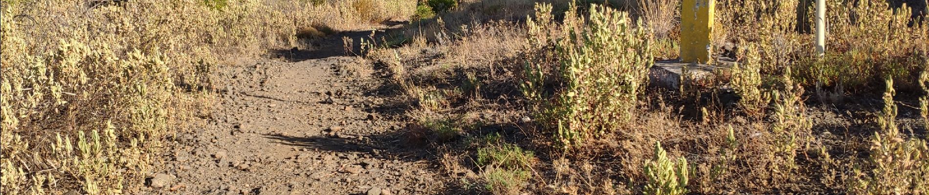 Tocht Stappen Roquebrune-sur-Argens - z la Bouverie 25-08-20 - Photo