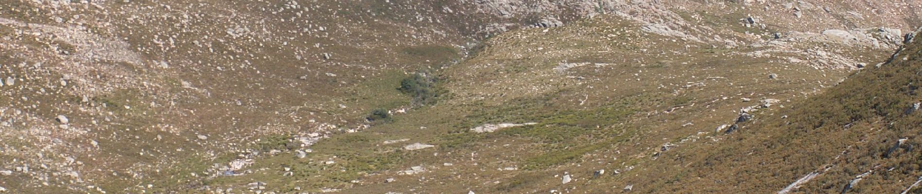 Randonnée A pied Campo do Gerês - Trilho das Minas dos Carris - Photo