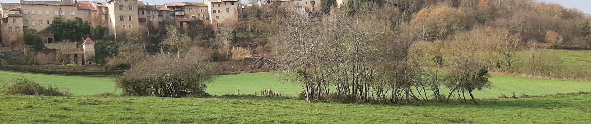 Tocht Stappen Aurignac - Aurignac Sentier Botanique  - Photo