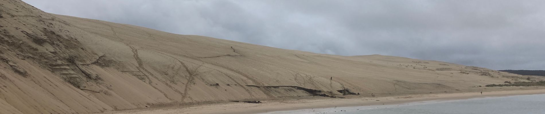 Tour Wandern La Teste-de-Buch - Dune du Pyla - Photo