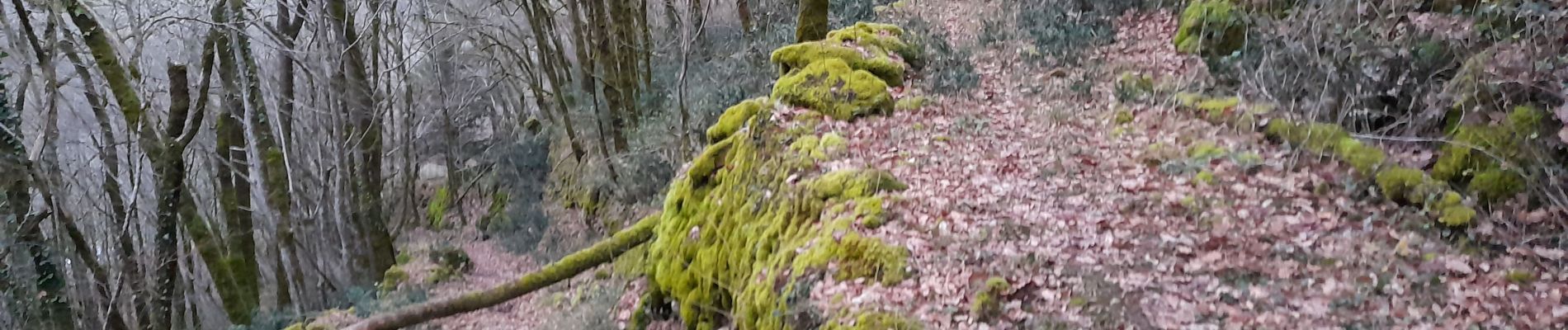 Tour Wandern Floirac - le caillon cirque de foirac  - Photo