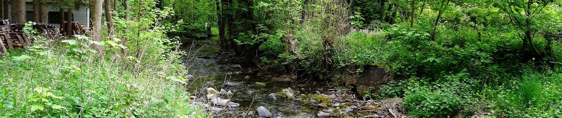 Tour Zu Fuß Bestwig - Ostwig Rundweg O4 - Photo