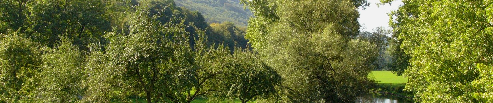 Tocht Te voet Emmerthal - ET4 Rundwanderweg Emmerthal - Schloss Hämelschenburg - Photo