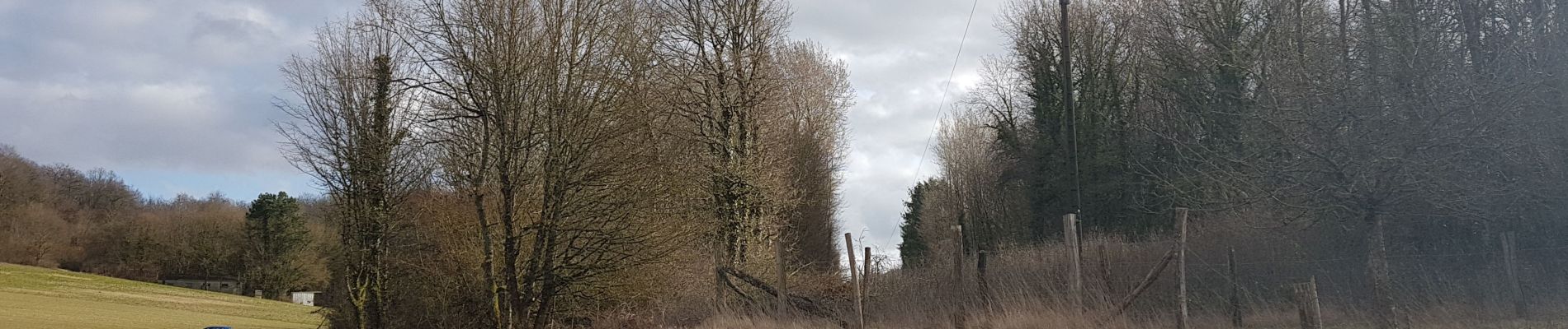 Percorso Marcia Maraye-en-Othe - forêt chenu - Photo