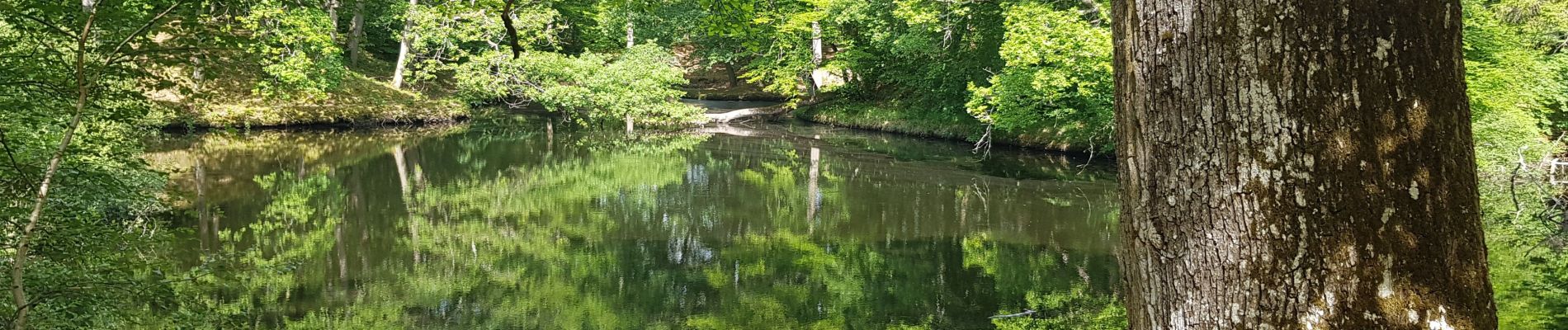 Excursión Senderismo Poigny-la-Forêt - poigny - Photo