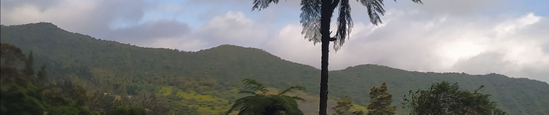 Excursión Senderismo Saint-Louis - Fenêtre des Makes par Piton Cabri - Photo