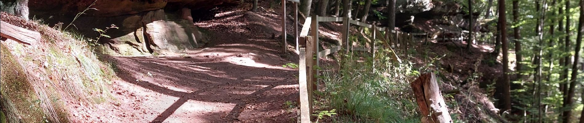 Tocht Stappen Münchweiler an der Rodalb - Felsenwald - Photo