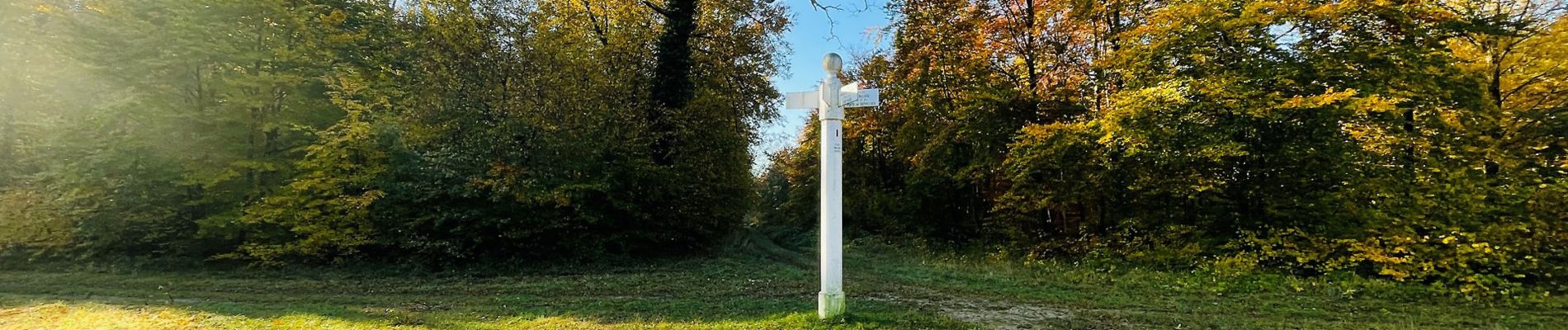 Punto de interés Compiègne - Unnamed POI - Photo