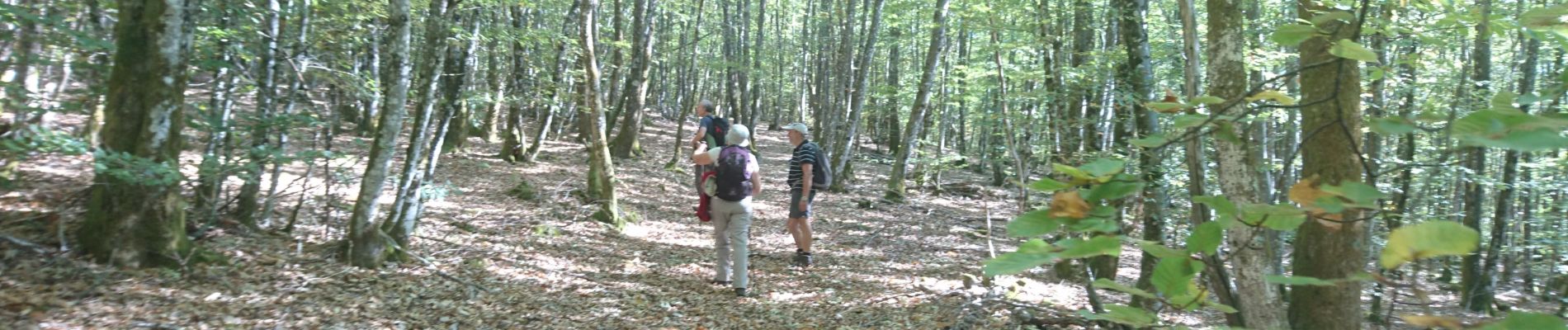 Excursión Senderismo La Grande-Verrière - 190919-Morvan-2 - Photo