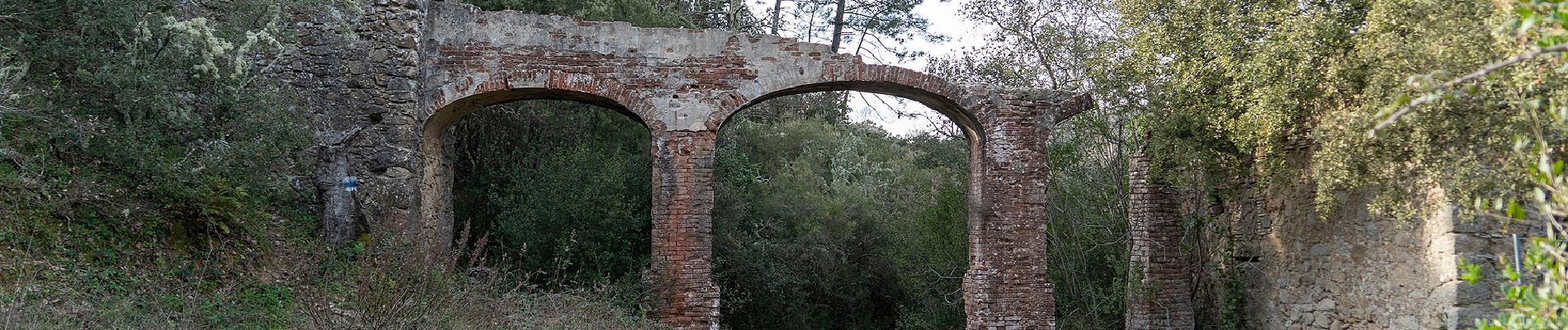 Tour Wandern Roquebrune-sur-Argens - Roquebrune  - Photo