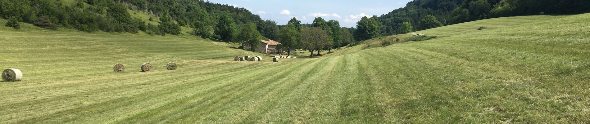 Trail Walking Hostun - Les Marchands au départ de St Martin d’Hostin - Photo