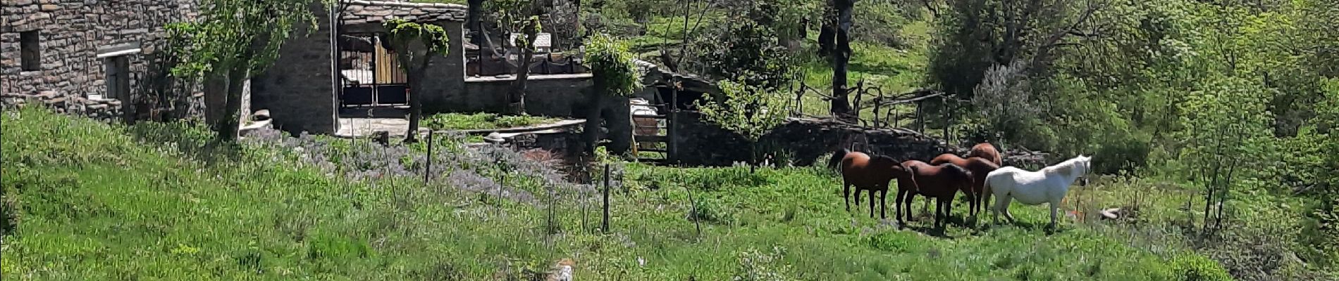 Randonnée Marche Aínsa-Sobrarbe - el grado Guaso Sierra puis voiture jusqu'à Sarratillo - Photo