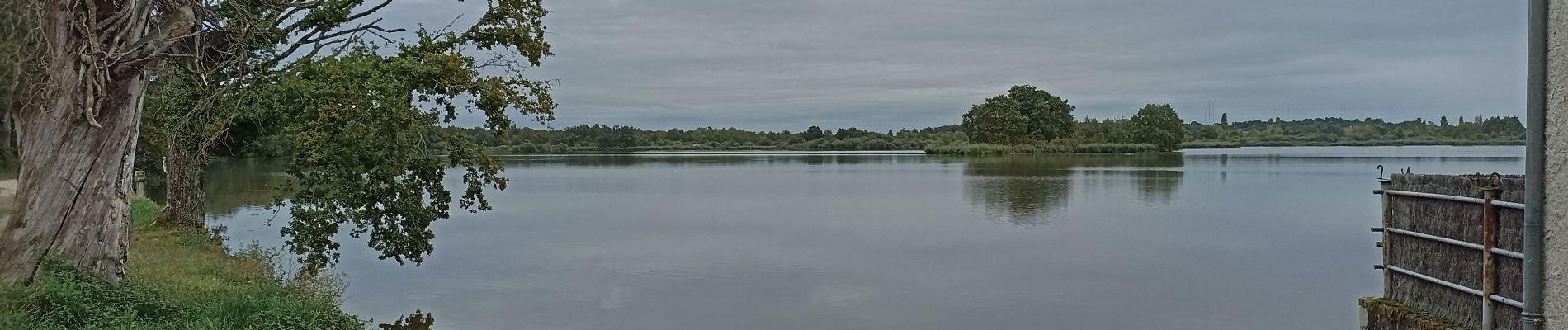 Randonnée Marche Saint-Michel-en-Brenne - étang du couvent  - Photo