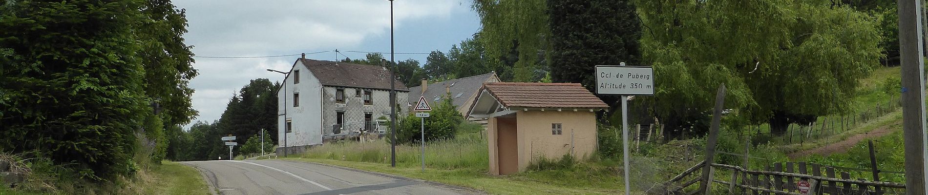 Randonnée A pied Zittersheim - Anneau jaune - Photo