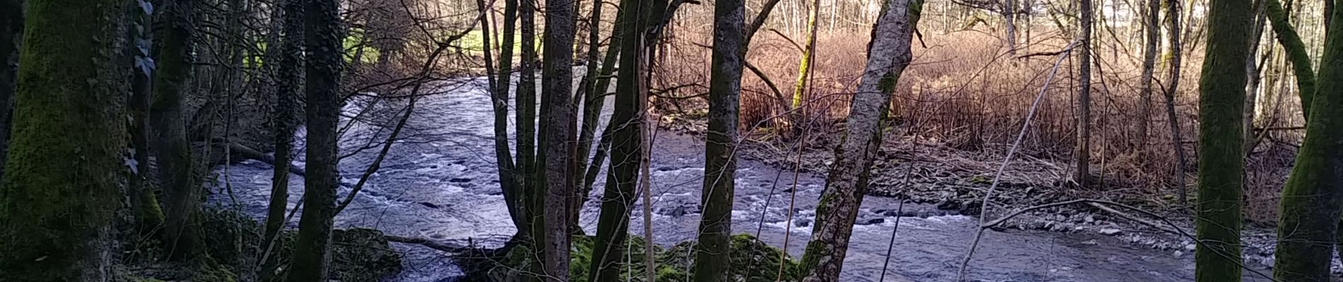 Randonnée Marche Sentheim - Knapphutte Saegenkopf Hütte - Photo