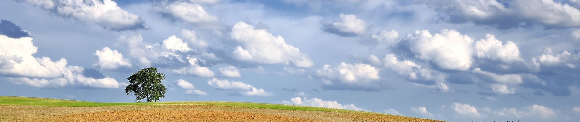 Excursión A pie Rosochaty Róg - Ścieżka edukacyjna Płazy - Photo