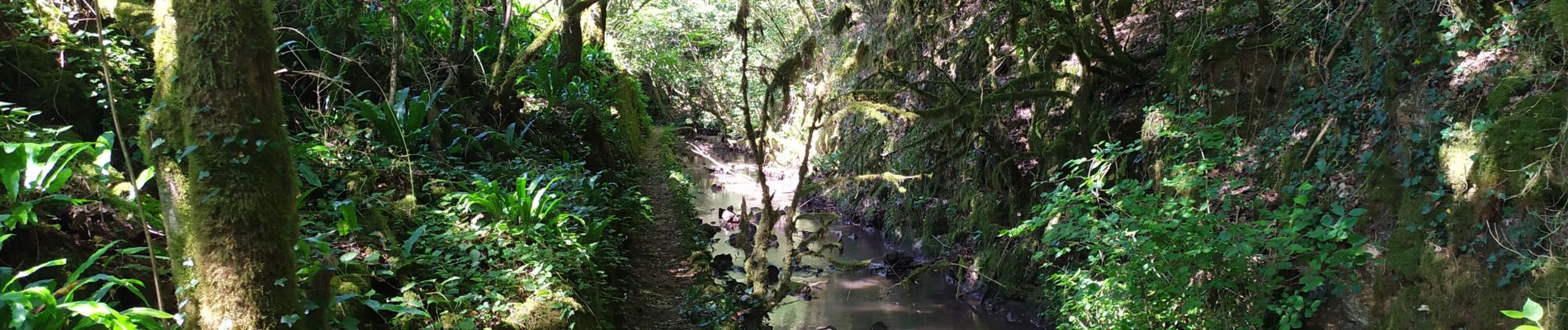 Excursión Senderismo Saint-Benoît - St Benoît - Photo