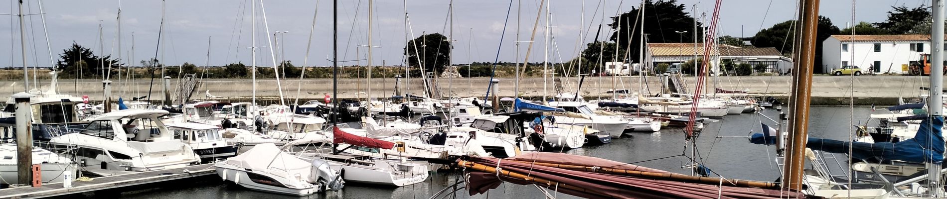 Randonnée V.T.T. Ars-en-Ré - 17-VTT-Ars-marais-porte-clement-baleines-31km - Photo