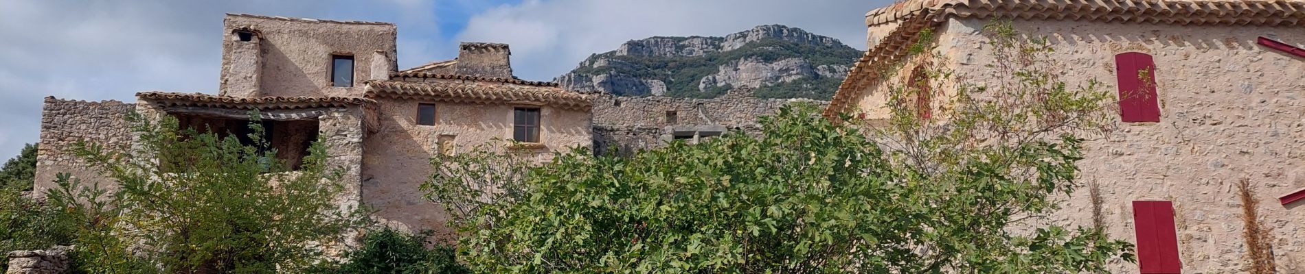 Trail Walking Saint-Guilhem-le-Désert - Roc de la Vigne  - Photo