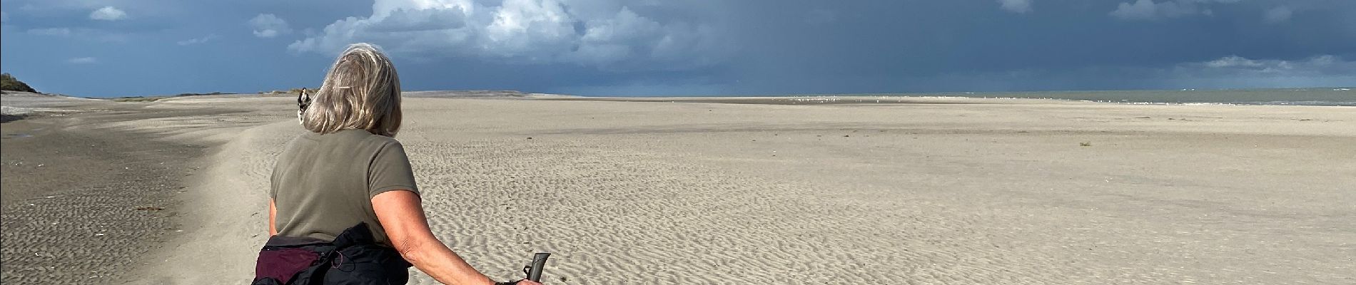 Percorso Camminata nordica Lanchères - Digue de la gaité, le Hourdel, étang de Cayeux  - Photo