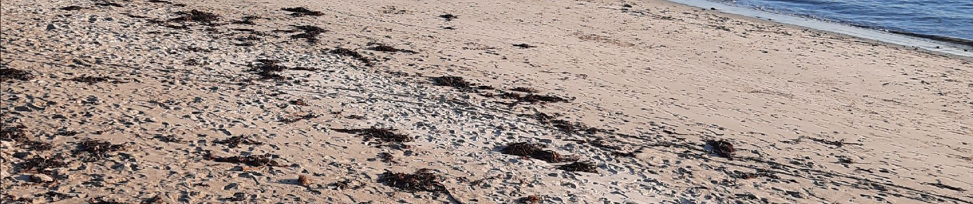 Tour Wandern Plœmeur - Lorient plage - Photo