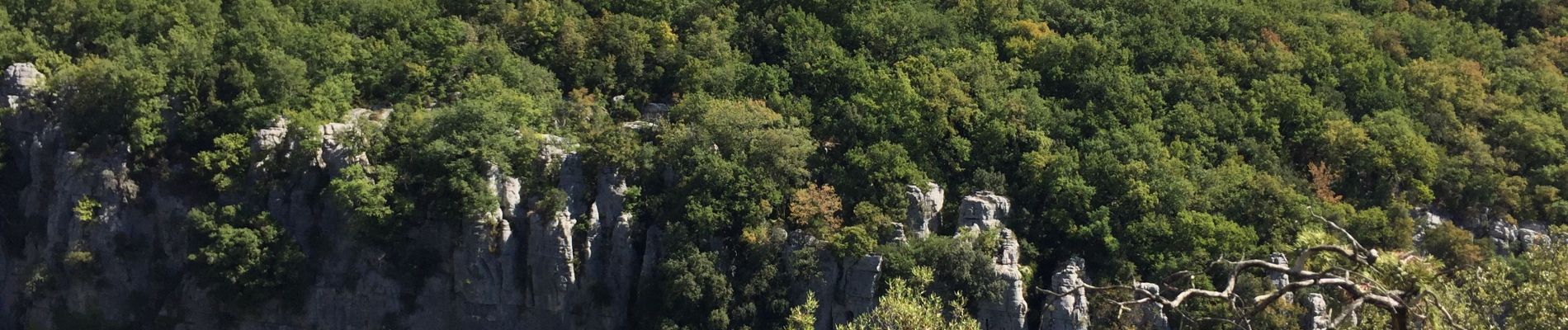 Randonnée Marche Les Vans - 2019 - ES - Païolive et Gorges du Chassezac - 11,7km - Longue V2 - Photo