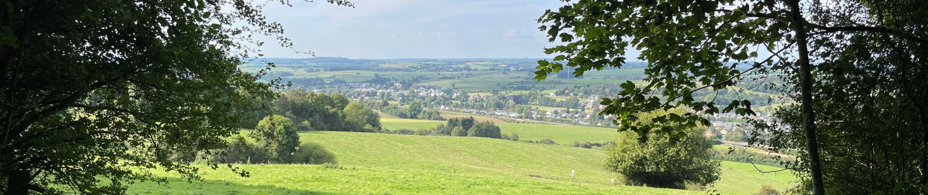 Trail Walking Aubange - Bois d’Halanzy et crassier de Musson - Photo