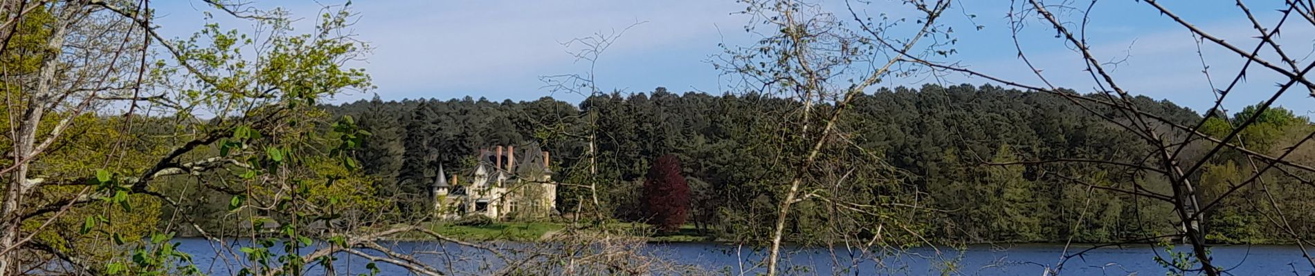 Tocht Stappen Allonnes - MAINE ET LOIRE: LE GUE DE LOUET - Photo