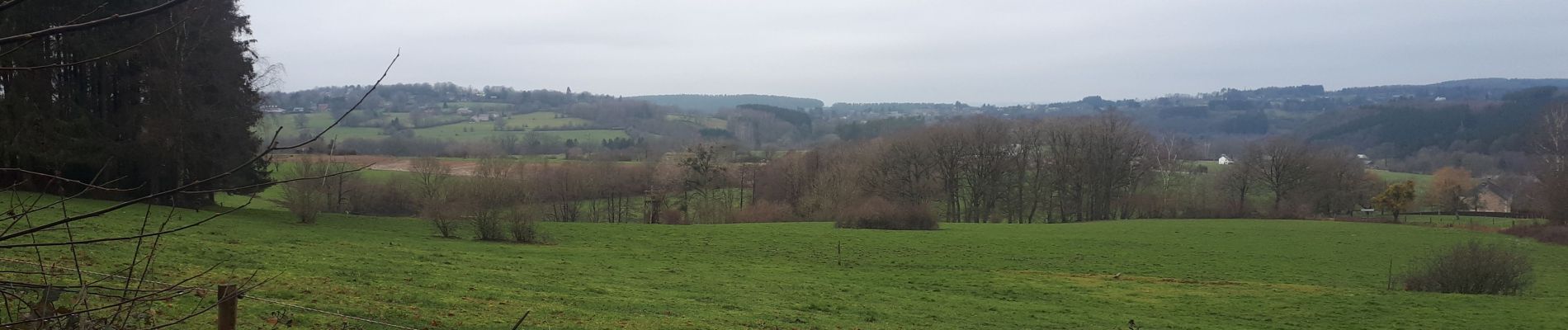 Tour Wandern Érezée - Briscol Sadzot - Photo