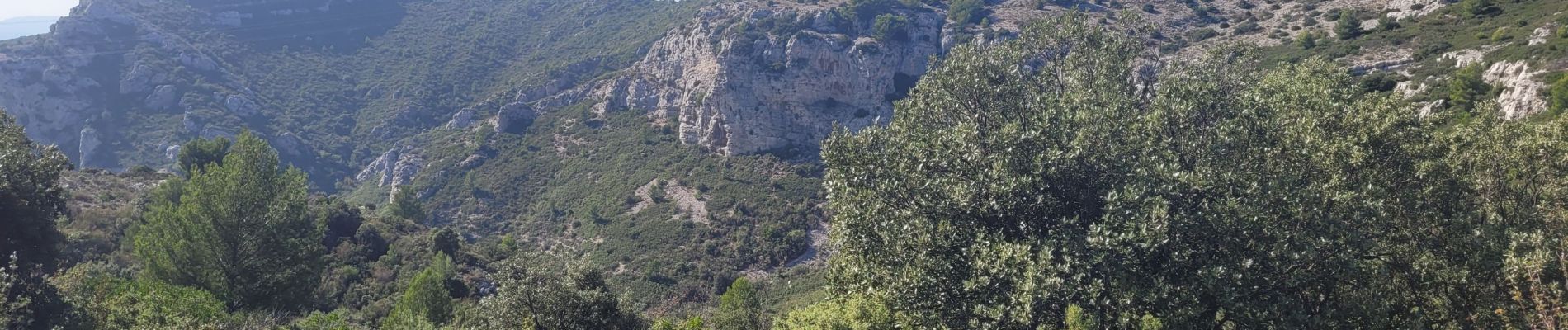 Tour Wandern Auriol - Auriol le col des Seignors  - Photo